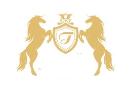 designing tamadon Trading Company's Website 